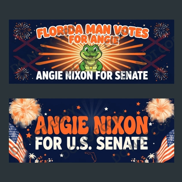 Angie Nixon Florida Senate Bumper Stickers 10-Pack