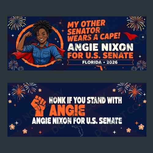 Angie Nixon Florida Senate Bumper Stickers 10-Pack