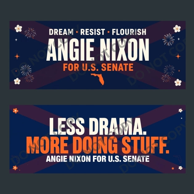 Angie Nixon Florida Senate Bumper Stickers 10-Pack
