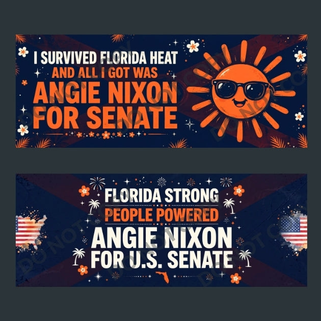 Angie Nixon Florida Senate Bumper Stickers 10-Pack